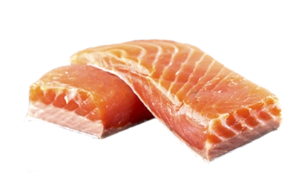 Łosoś